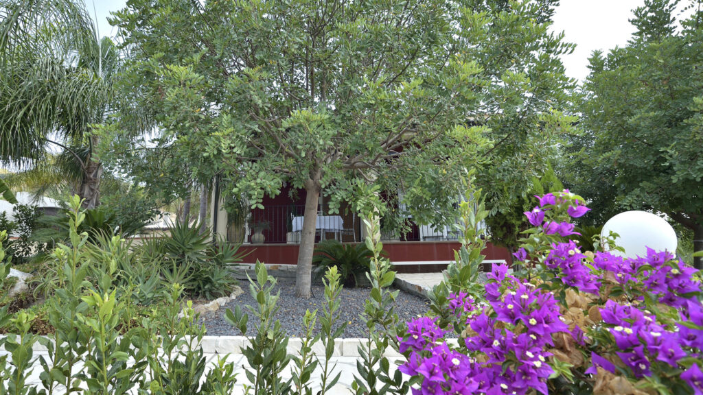 17_villa-del-colle-con-piscina-privata