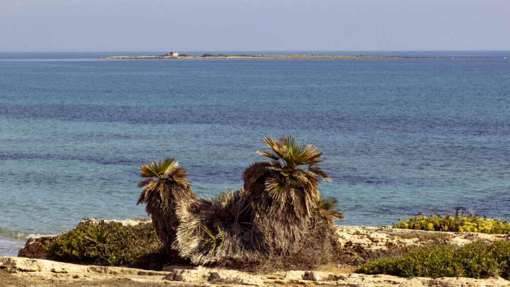 19_casa-vivian-vista-mare