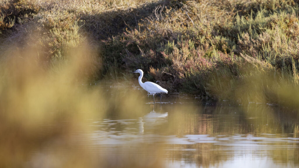 35_romantic-house-terrazza-vista-mare