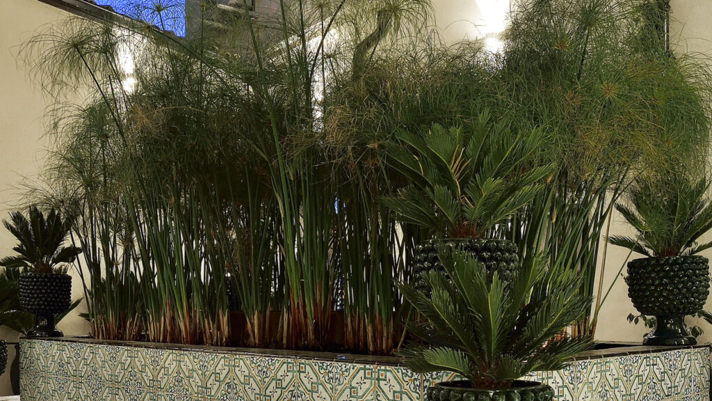 36_loft-aurispa-143-noto