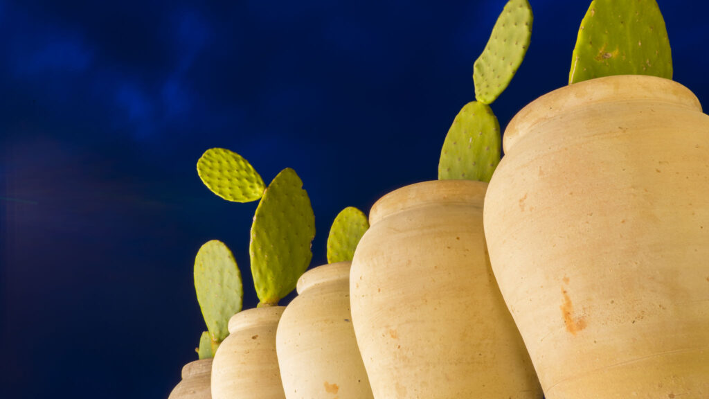 44_villa-alti-vista-mare-e-piscina-privata