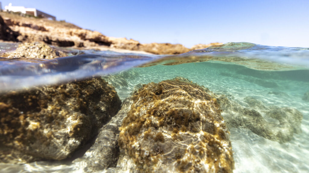 17_baia-laura-accesso-diretto-al-mare