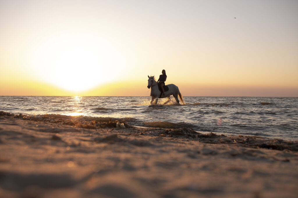 AdobeStock_554532084