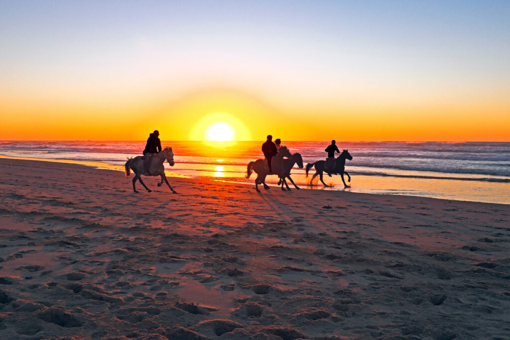 Horse riding on the beach at sunset