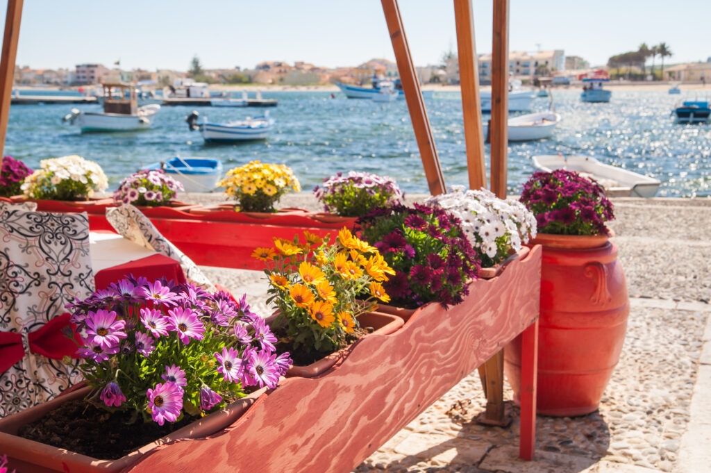Flowered vases next to the harbor of the small sea village Marzamemi, Sicily, with fishing boats