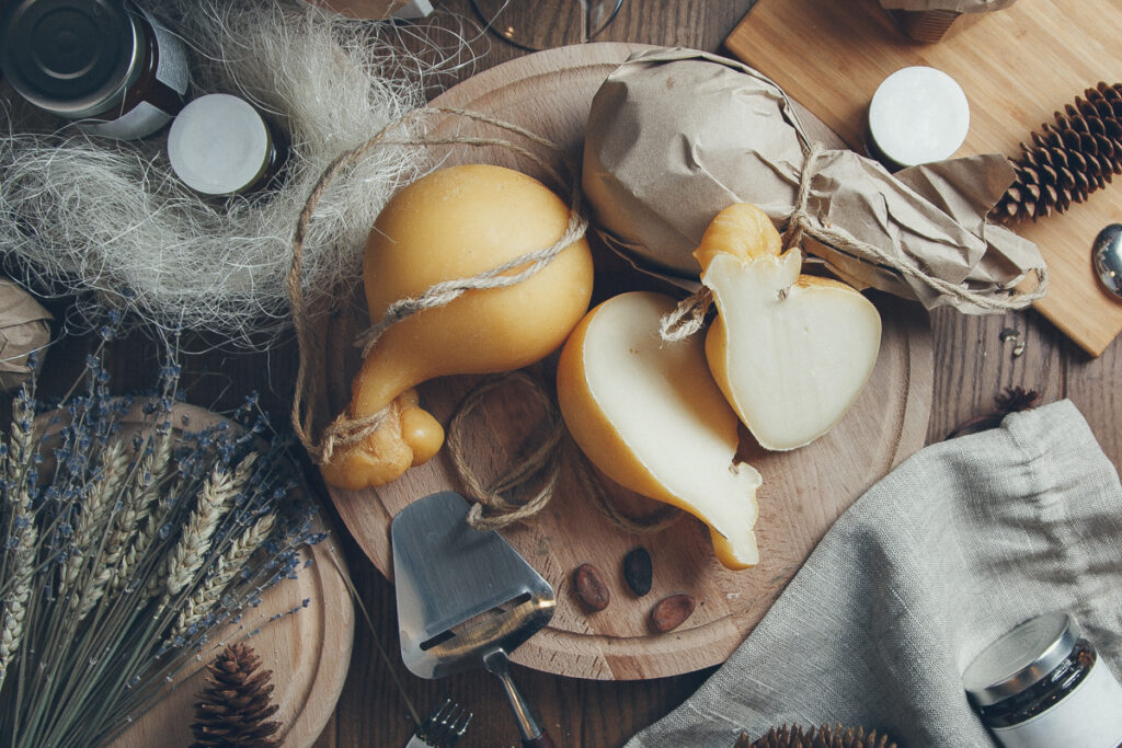 Copertina AdobeStock_331907801