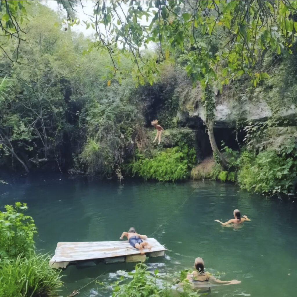 slowfood_family_farm (7)